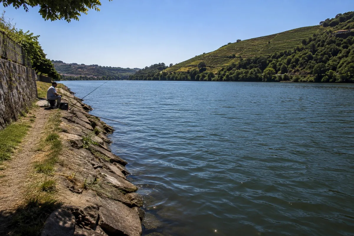 Pescador numa margem rochosa do rio Douro, com encostas de vinha em socalcos