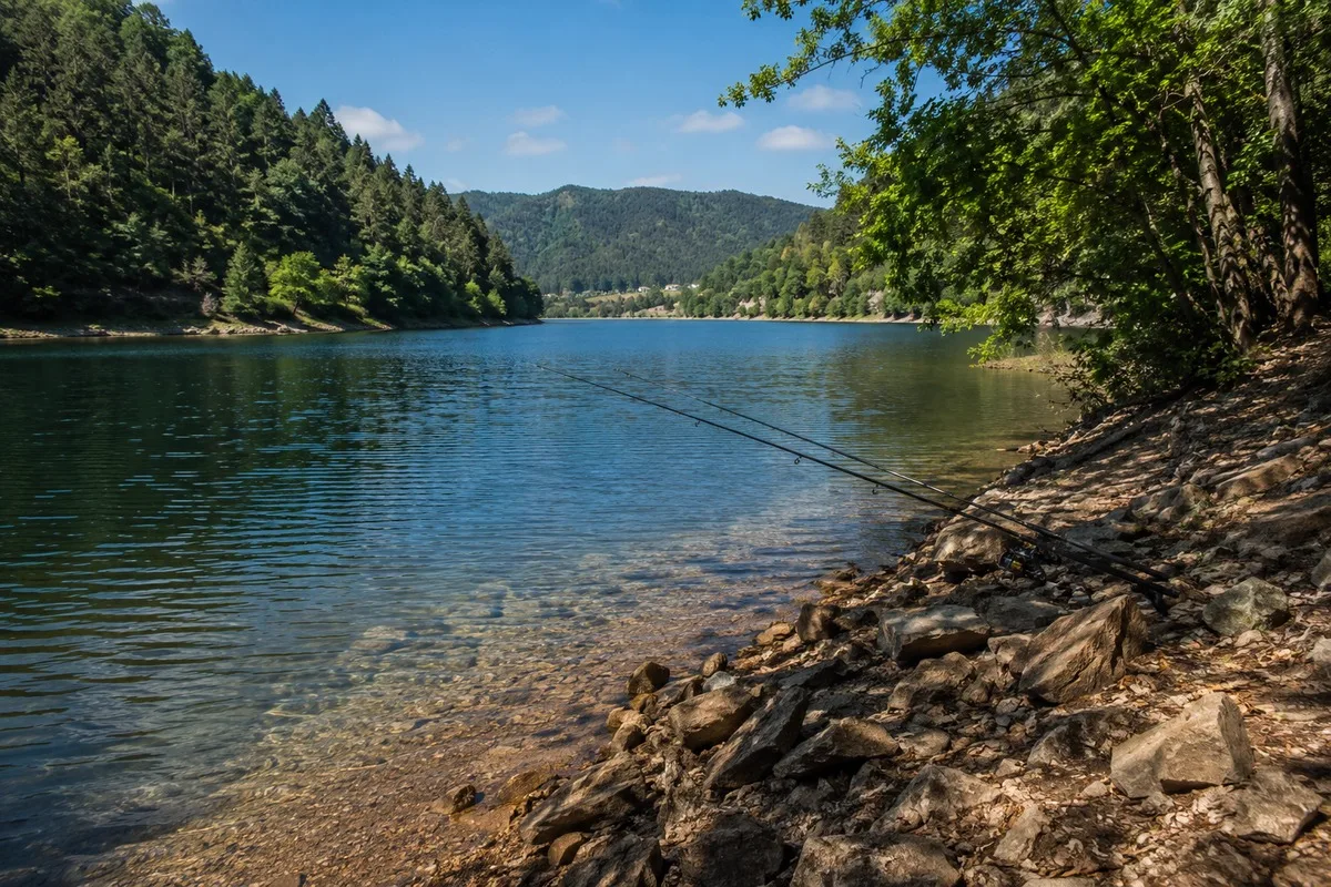 Albufeira arborizada no rio Zêzere com canas de pesca sobre a água