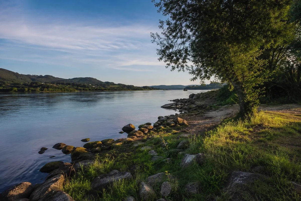 Troço largo e calmo do rio Minho ladeado por encostas arborizadas
