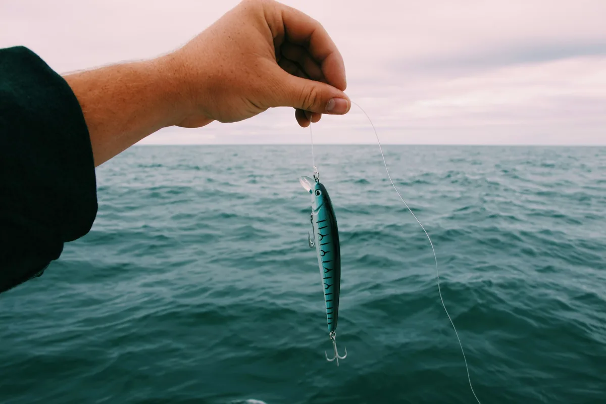 Mão a segurar amostras artificiais de pesca