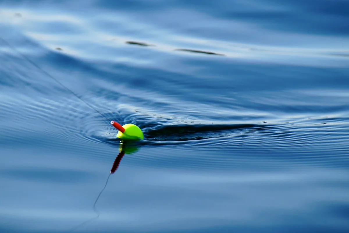 Boia de pesca em pormenor à superfície da água