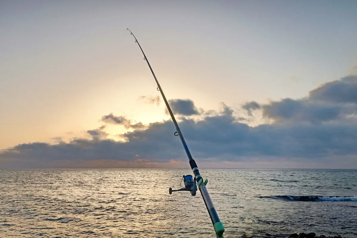 Cana de pesca montada com carreto, em plano aproximado