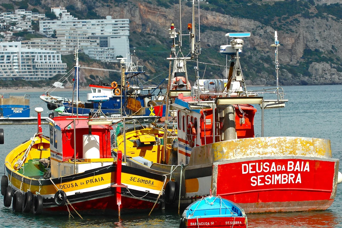 Barcos de pesca no Porto de Abrigo de Sesimbra
