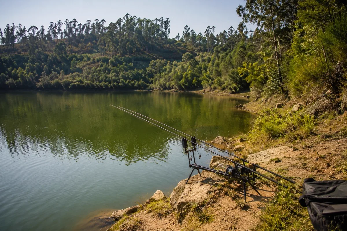 Margem rochosa e arborizada da albufeira da Aguieira com canas de pesca montadas